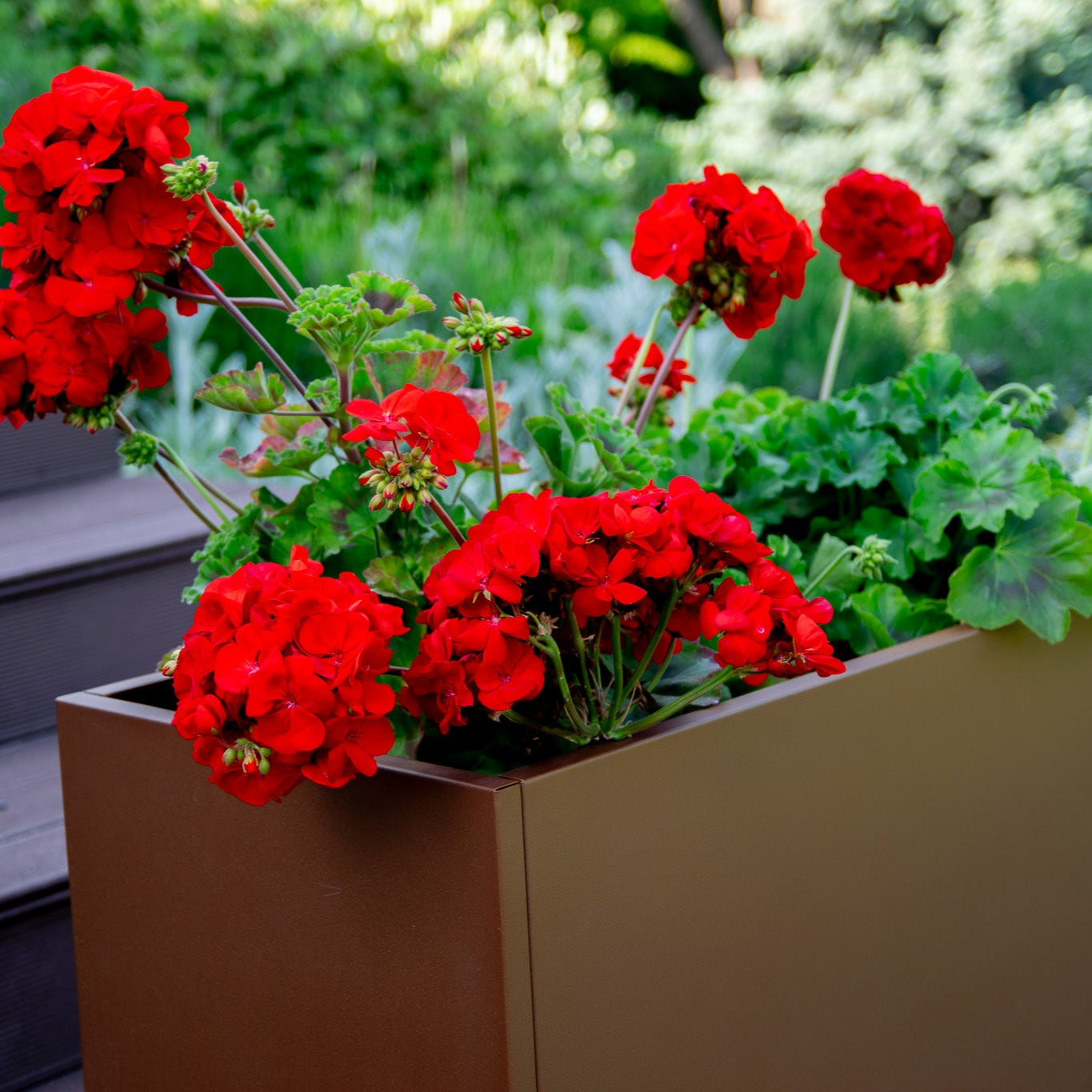 Jardiniera metalica SILVA pentru terasa, gradina sau balcon, ideala pentru decor sau protectie vizuala